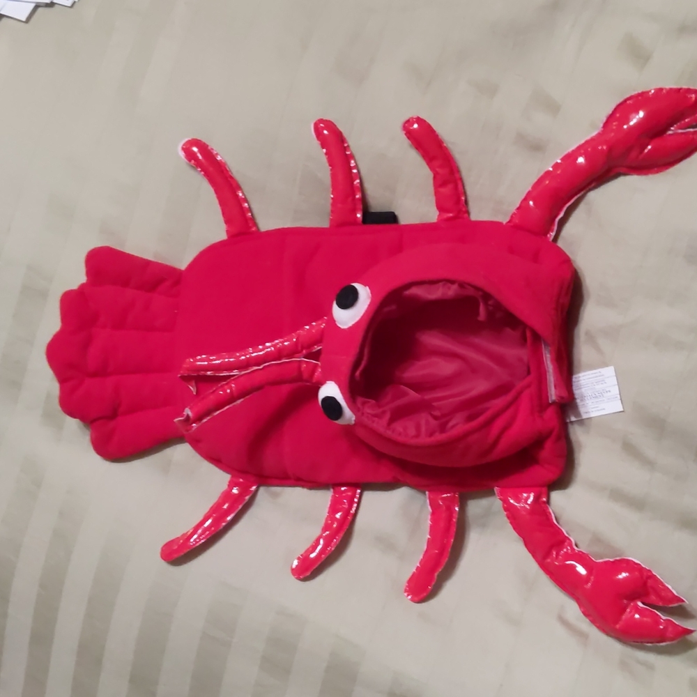 Small pet Lobster Halloween costume